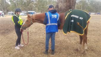 Ararat Endurance Ride