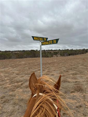 Callington - Come and Try Endurance