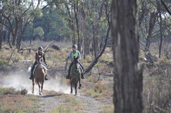 Waikerie CATE