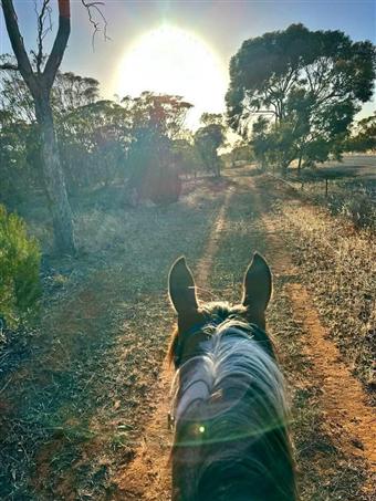 Callington Endurance