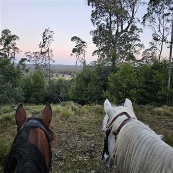 East Lynne Endurance Ride