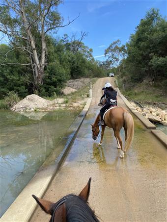 Braidwood Currowan Endurance Ride