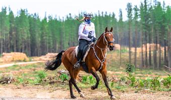 Corowa-Wahgunyah Endurance Ride