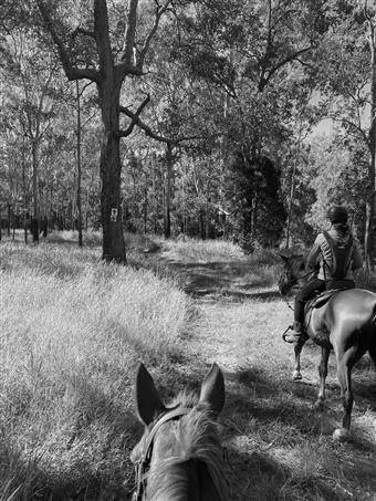 'Greg Willoughby Memorial Ride' Denison Creek
