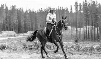 Corowa-Wahgunyah Endurance Ride